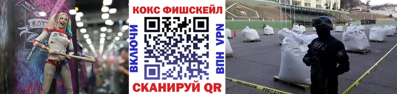 купить закладку  MEGA онион  сайты даркнета клад  Судогда  Cocaine 99% 