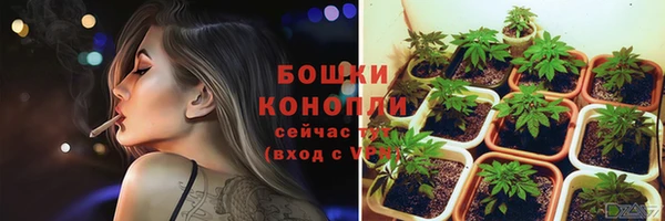 MESCALINE Заводоуковск