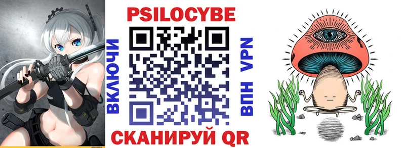 как найти закладки  МЕГА tor  Галлюциногенные грибы GOLDEN TEACHER  Судогда 